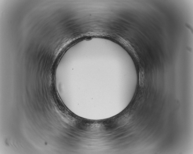 X0000099520204200806051219