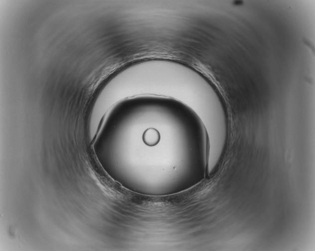 X0000099520205200806051219