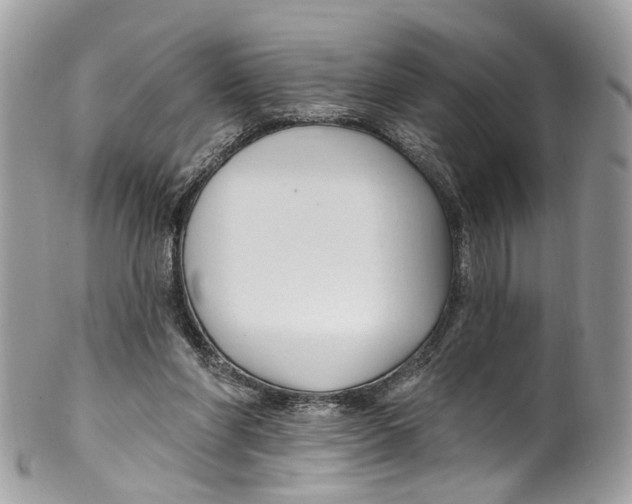 X0000099520206200806051219