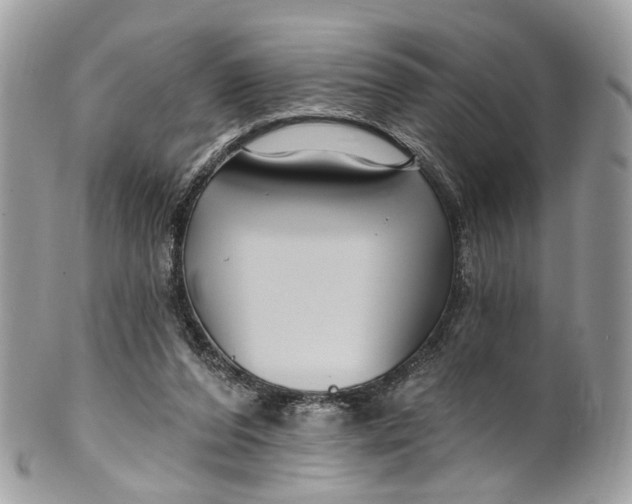 X0000099520208200806051219