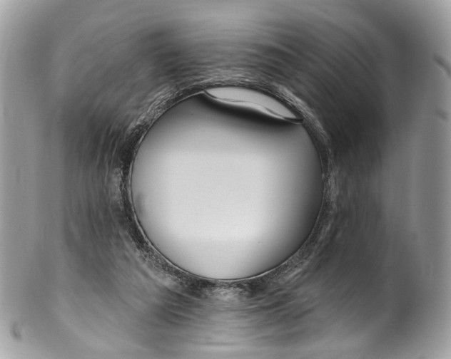 X0000099520209200806051219