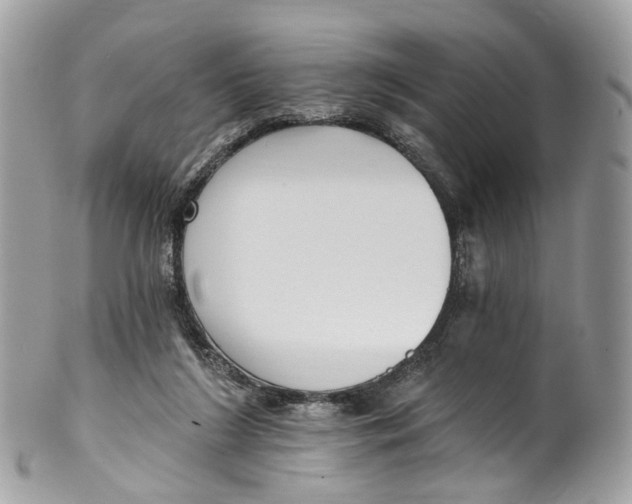 X0000099520212200806051219