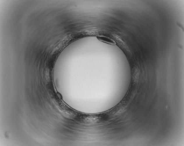 X0000099520213200806051219