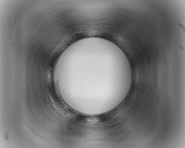 X0000099520214200806051219