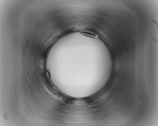 X0000099520215200806051219