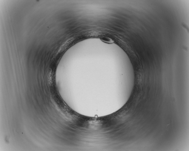 X0000099520216200806051219