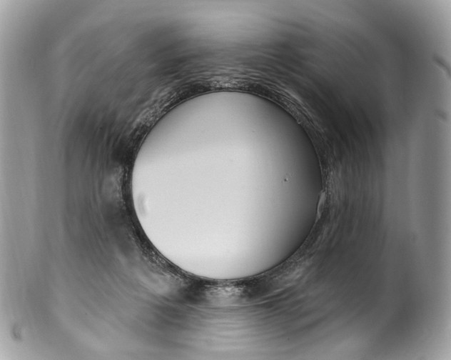 X0000099520217200806051219