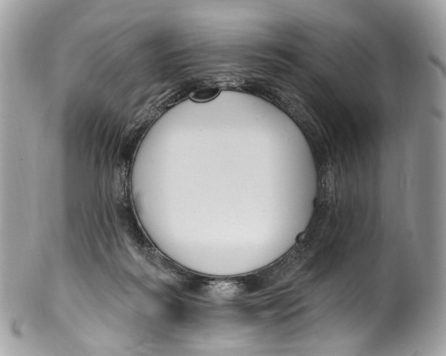 X0000099520218200806051219