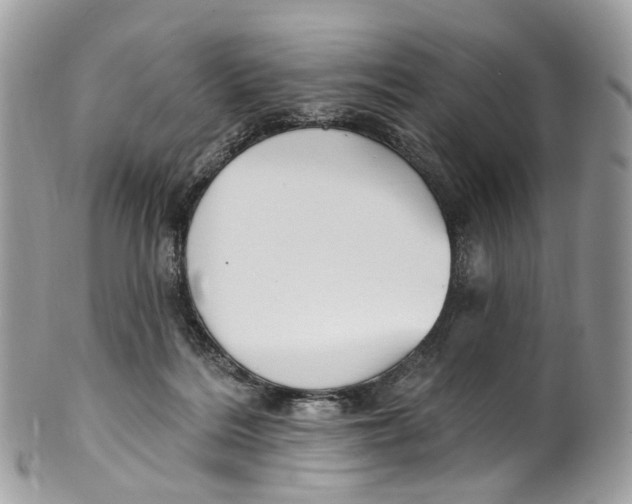 X0000099520220200806051219