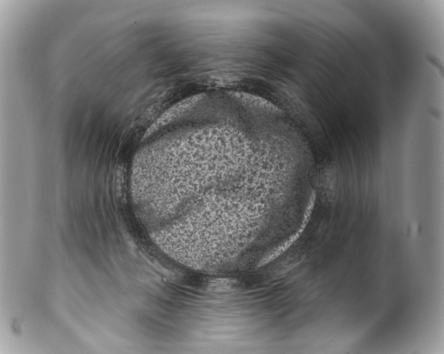 X0000099520222200806051219