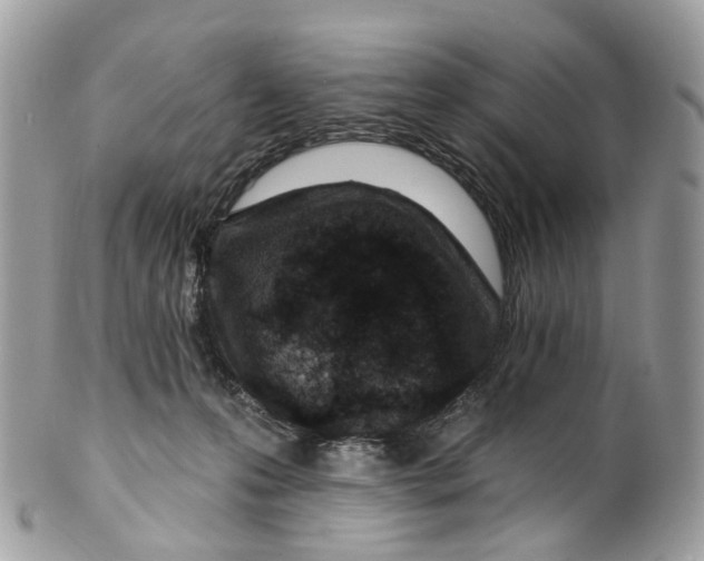 X0000099520223200806051219