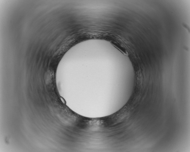 X0000099520225200806051219