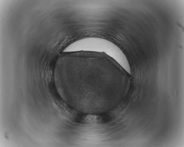 X0000099520227200806051219