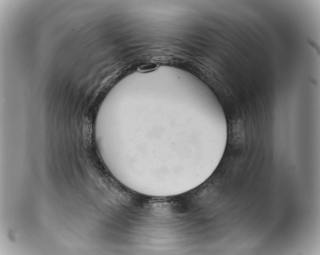 X0000099520228200806051218