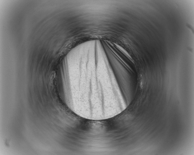 X0000099520229200806051218