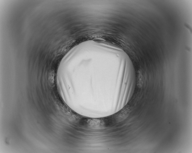 X0000099520230200806051218