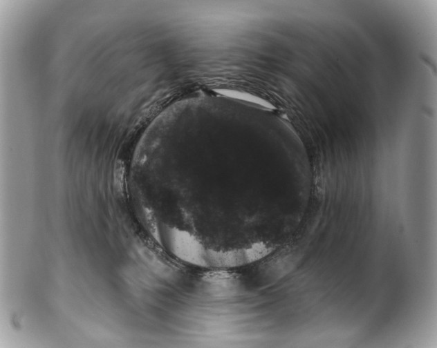 X0000099520231200806051218