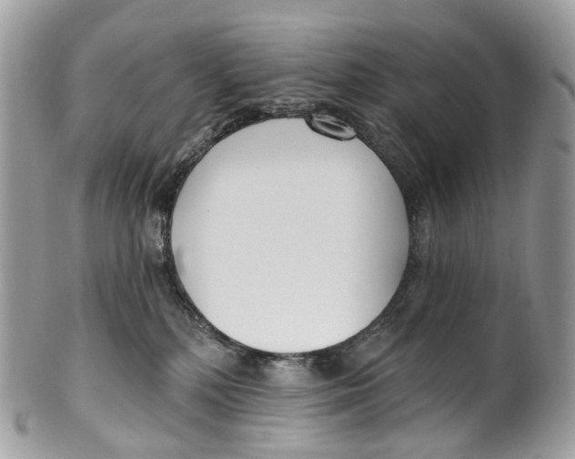 X0000099520232200806051218