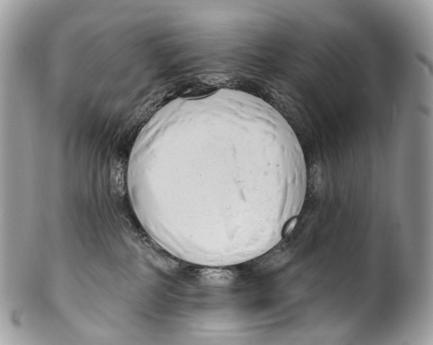 X0000099520234200806051218