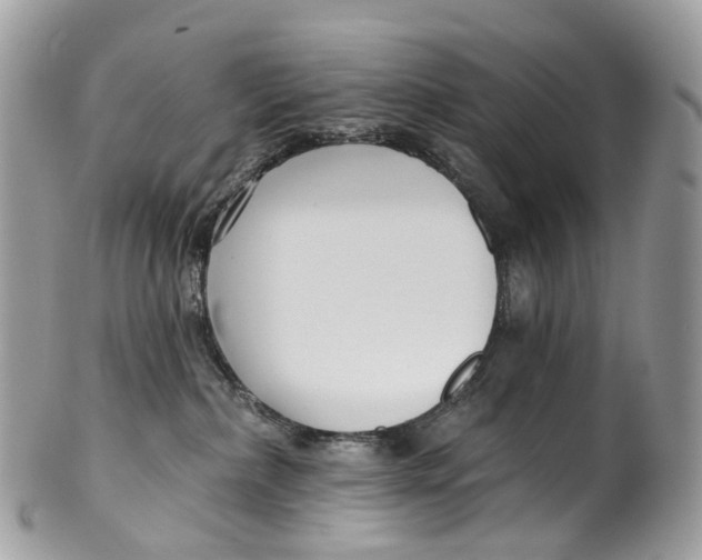 X0000099520236200806051218