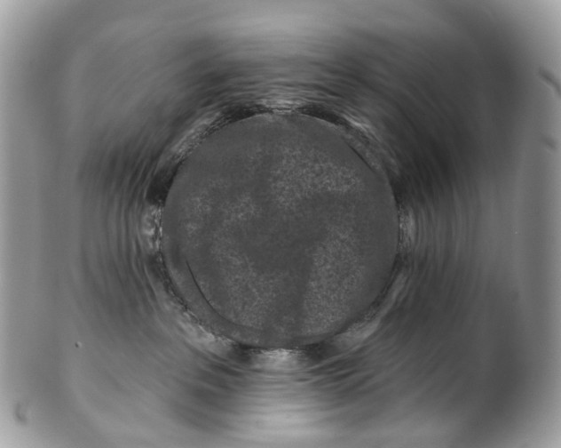 X0000099520237200806051218