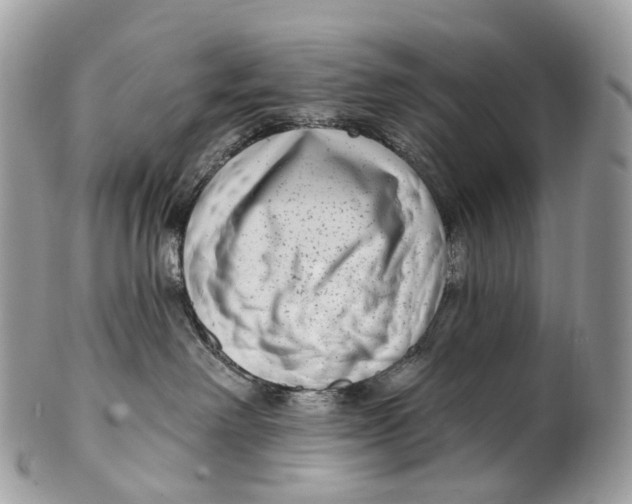 X0000099520238200806051218