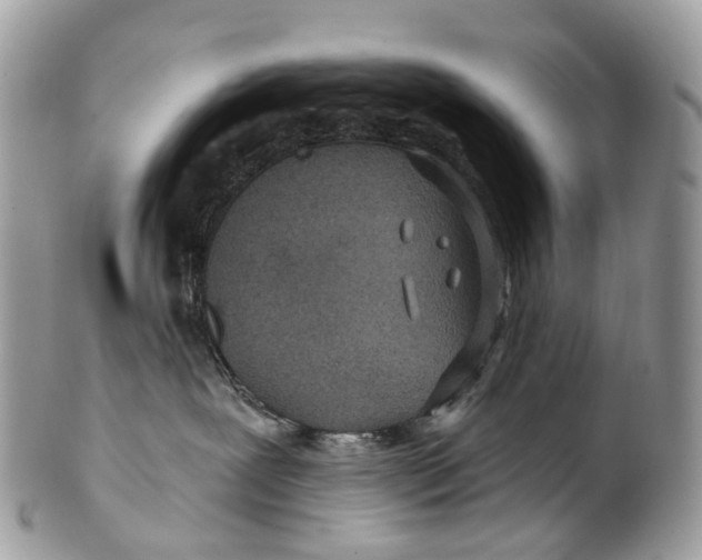 X0000099520239200806051218