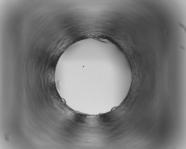 X0000099520240200806051218