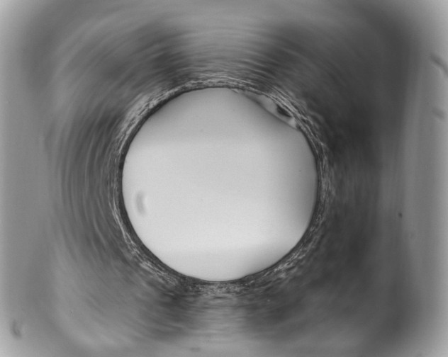 X0000099520241200806051218