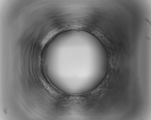 X0000099520242200806051218