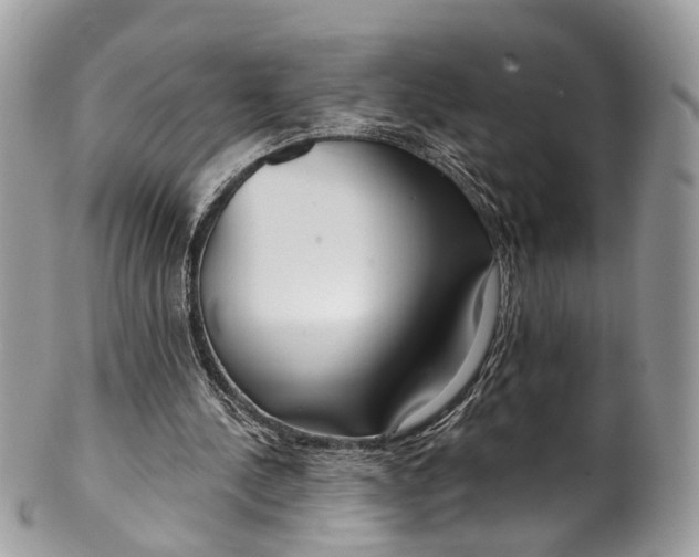 X0000099520244200806051218