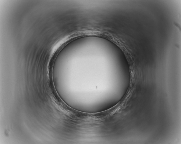 X0000099520246200806051218