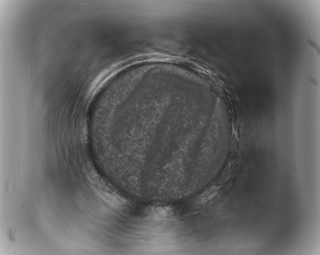 X0000099520247200806051218