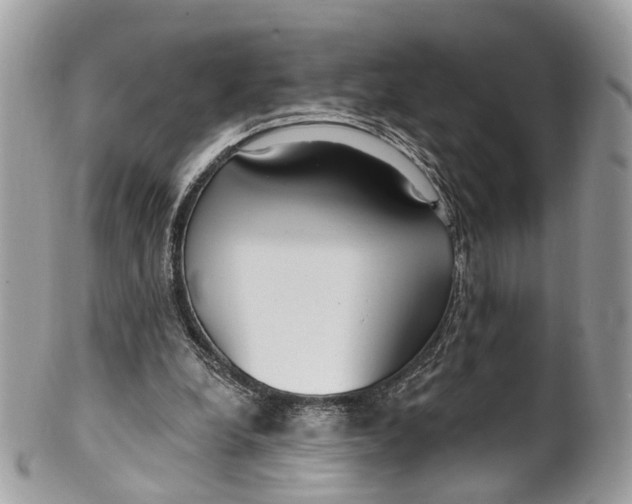 X0000099520248200806051218