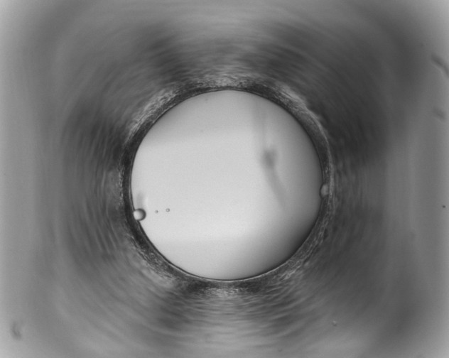 X0000099520250200806051218