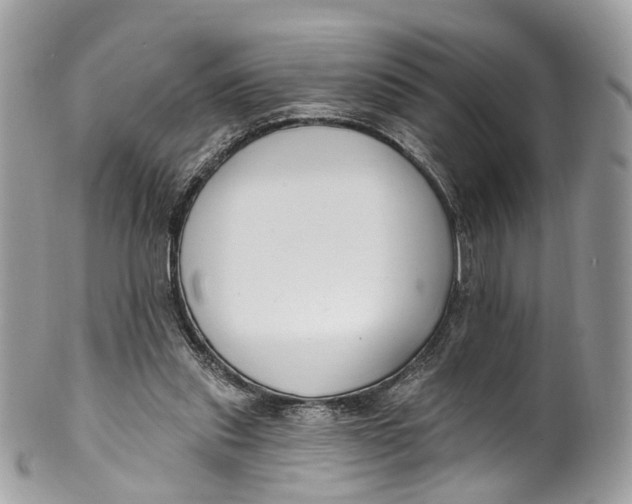 X0000099520253200806051218