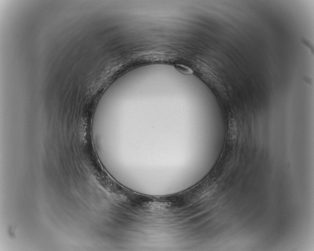 X0000099520255200806051218