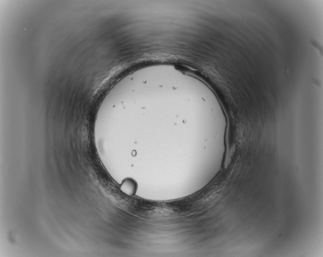 X0000099520256200806051218