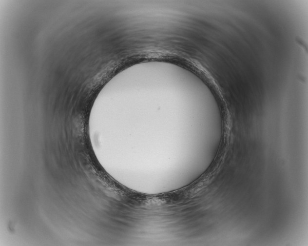 X0000099520257200806051218