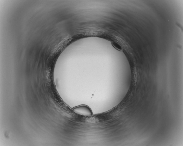 X0000099520258200806051218