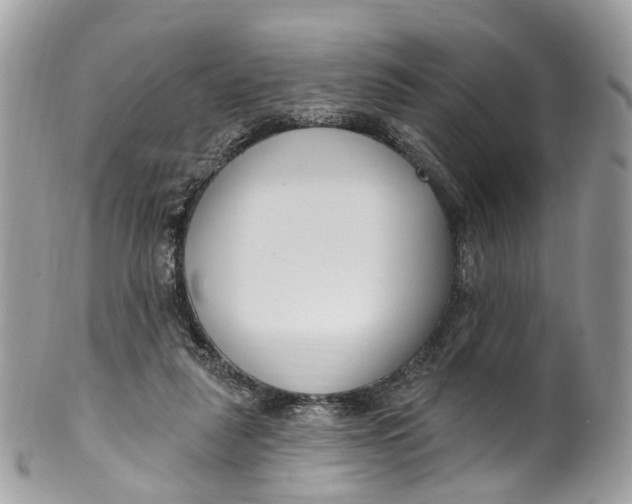 X0000099520259200806051218