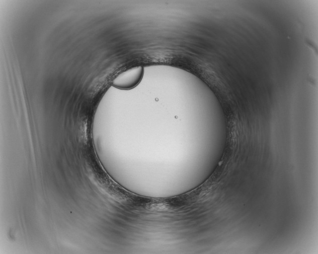 X0000099520262200806051218