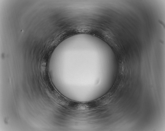 X0000099520263200806051218