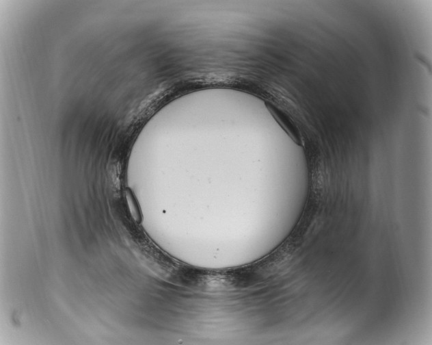 X0000099520264200806051218