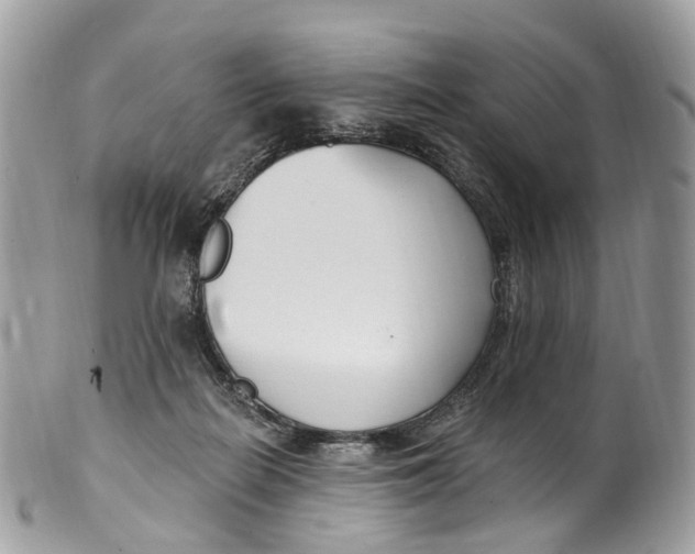 X0000099520266200806051218