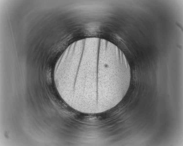 X0000099520267200806051218