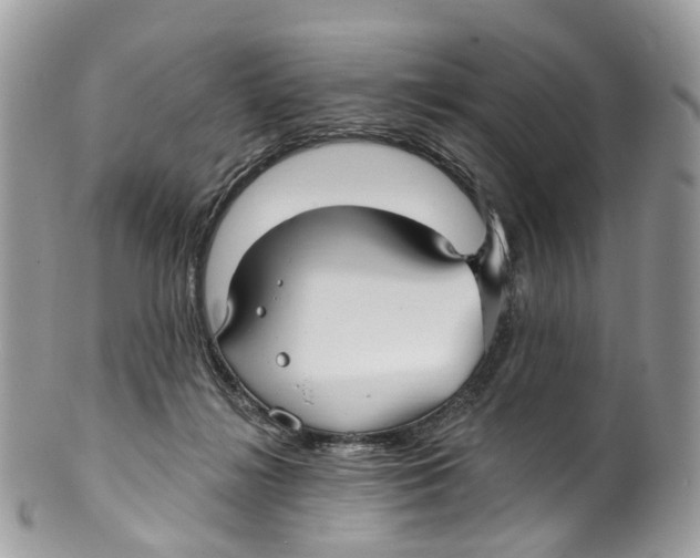 X0000099520268200806051218