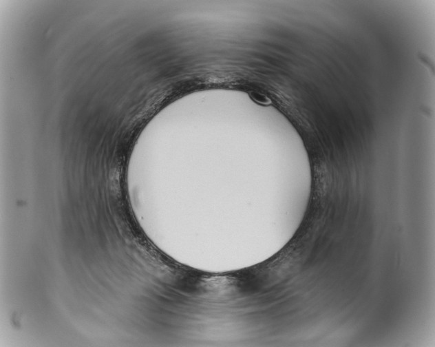 X0000099520269200806051218