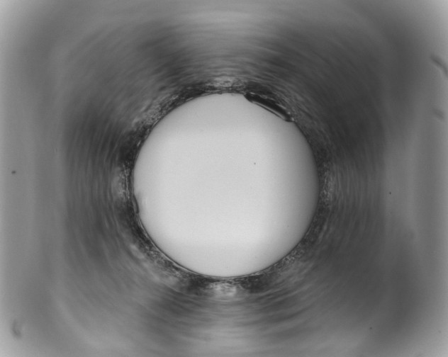 X0000099520272200806051218