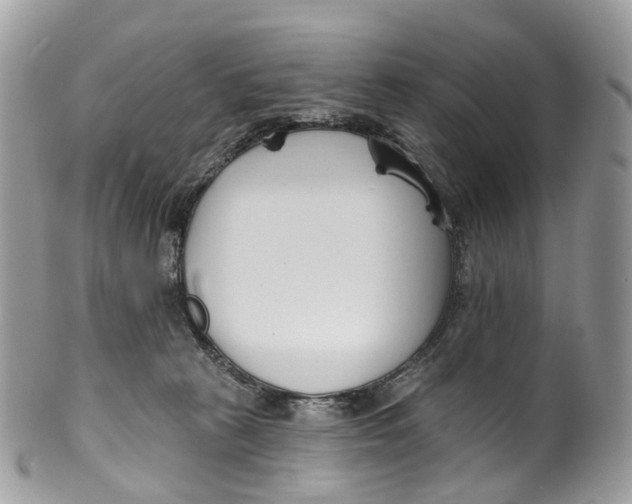 X0000099520273200806051218